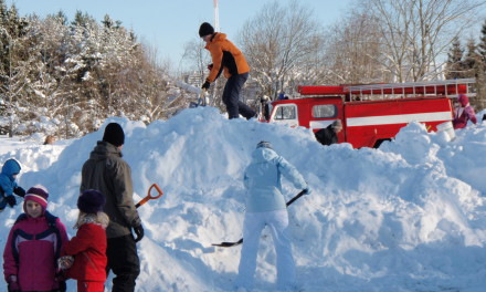 Vastlapäev 2010 + hoki