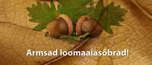 Kogume loomaaiale tõrusid!