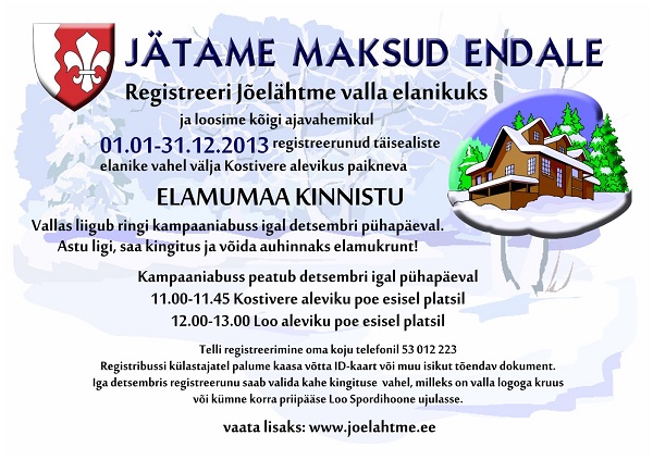 maksukampaania 2013