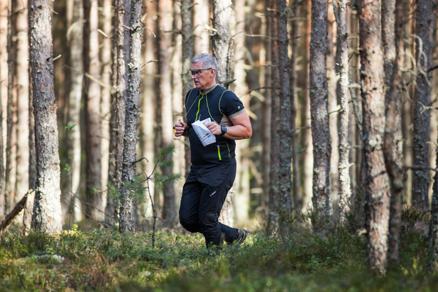 Orienteerumine Kalevi-Liival