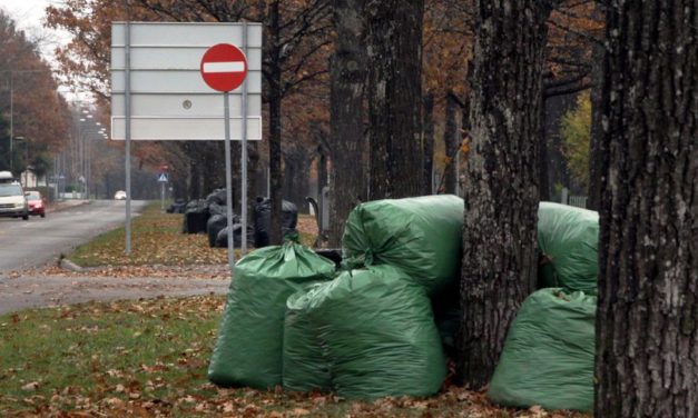 Aia ja haljastusjäätmete tasuta äravedu