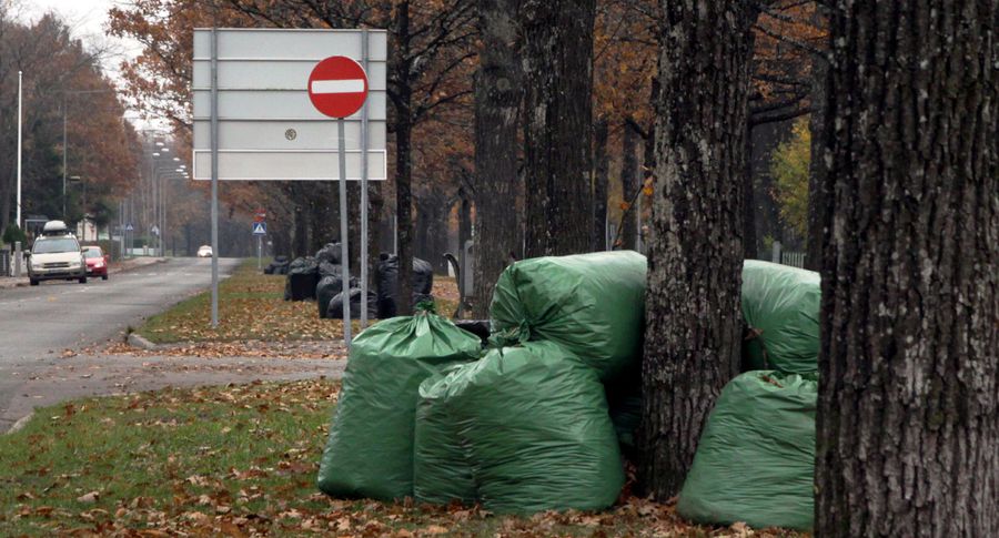 Aia ja haljastusjäätmete tasuta äravedu